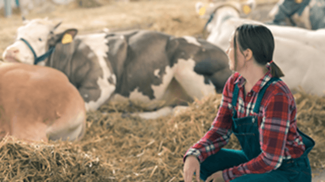 Dairy Workers: Feed Handling and Storage Safety
