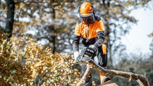 Chainsaw Safety (OSHA)